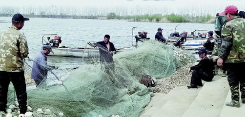 渔业生产忙起来